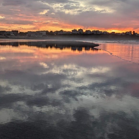 Meet your Posher, Paula - Picture 2 of 2